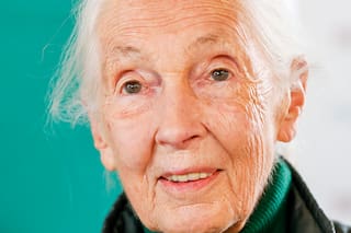 Jane Goodall: “Mi próxima gran aventura va a ser morir”