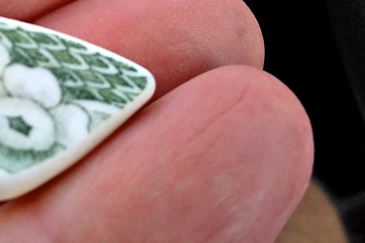 Tesoros en la playa: el misterio de las porcelanas inglesas en Centinela del Mar