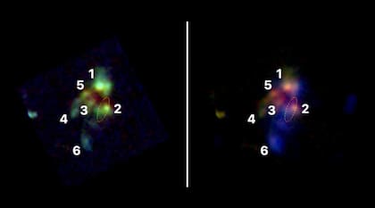 A la izquierda, en tonalidad verde, las galaxias detectadas. A la derecha, las estructuras de gas en color azul. La número 2 es la radiogalaxia identificada