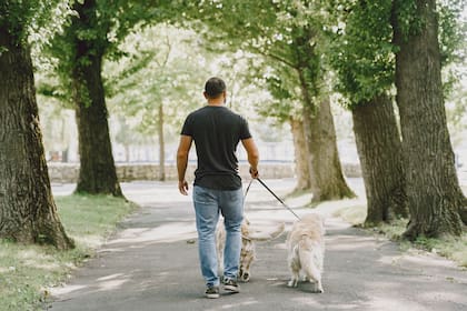 Al detenerse, el perro quiere comunicar un malestar (Foto: Freepik)