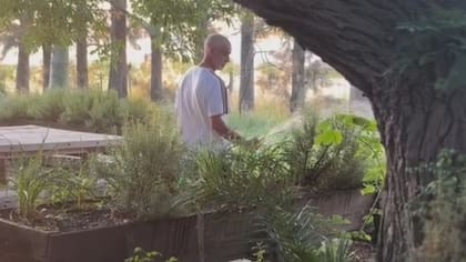 Captura del video que difundió regando los vegetales en su finca de San Pedro