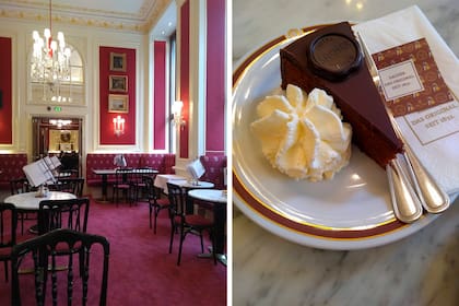 Clásico de clásicos: torta Sacher en el café Sacher.