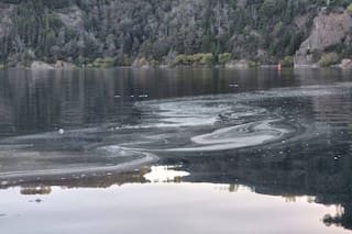 Descartan contaminación masiva en el lago Lácar, pero persisten dudas por el sistema de saneamiento
