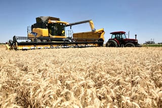Datos favorables, el rescate del campo y un mundo que necesita alimentos