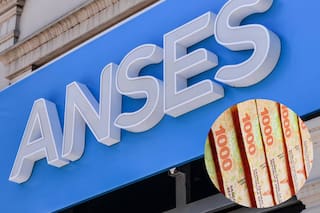 Cuánto se cobra por asignaciones familiares de la Anses en julio