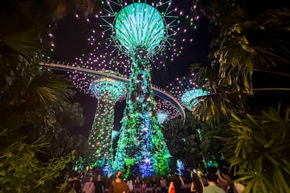 De noche los superárboles despliegan un show de luces