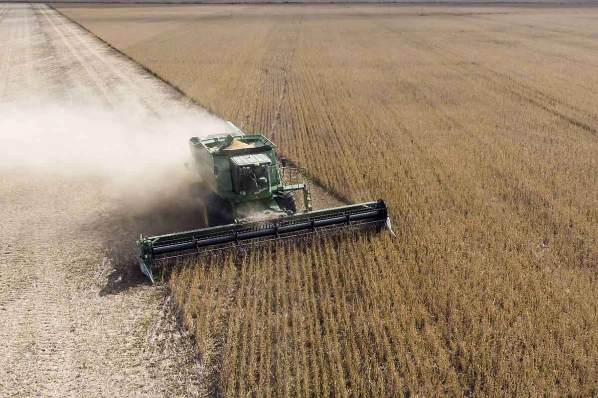 El campo requiere de polÃticas equilibradas