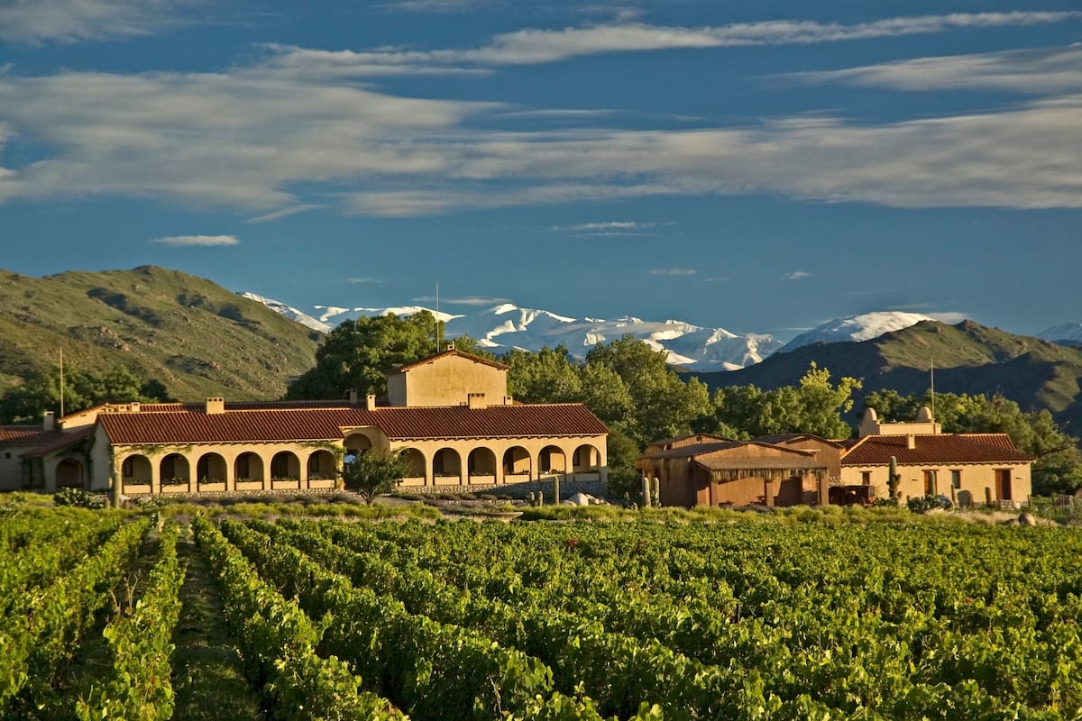 A cinco horas de Salta capital, en el corazón de los Valles Calchaquíes, se levanta Colomé: la bodega más antigua del país y uno de los proyectos vitivinícolas más altos del mundo
