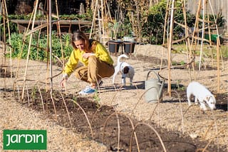Por qué los jardineros esperan el invierno para tomar las decisiones más importantes