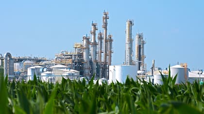 No son solo productores ni industrias; son empresas híbridas que integran cadenas, desarrollan biomateriales y exportan innovación