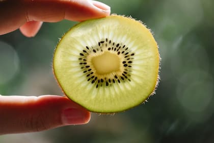 El kiwi, explicó, posee altos niveles de vitamina C, contiene precursores de serotonina y presenta un índice glucémico bajo
