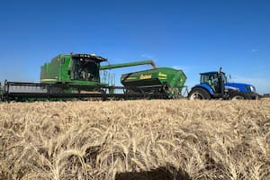 Caputo destacó la caída de un insumo vital para el campo y crece la expectativa por otra gran cosecha de trigo