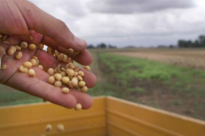 Estados Unidos es el segundo productor mundial después de Brasil