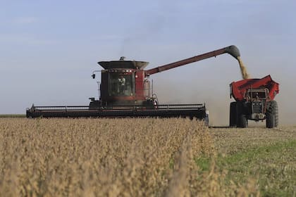 El último informe de Coninagro advierte que los desafíos de competitividad persisten pese al buen nivel de producción