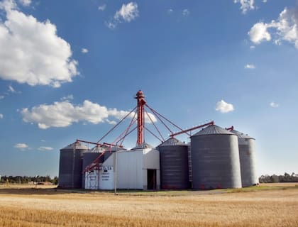 En Buenos Aires el principal factor que explica la elevada presión fiscal es el Inmobiliario Rural, cuya incidencia puede representar alrededor del 11,54% de los ingresos anuales del establecimiento