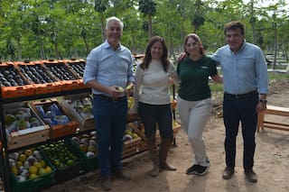 La familia que cultiva café y sueña con llegar a 100 hectáreas
