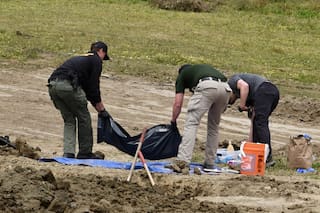 En “escena terrorífica”, hallan al menos 117 perros muertos en refugio de animales en California