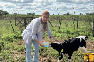 La vuelta al campo que terminó en una pyme quesera que reescribe una historia familiar
