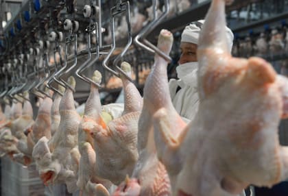 Entre los reclamos concretos se mencionó la eliminación de las retenciones a las exportaciones de carne de pollo
