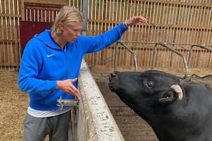 Haaland quiere ser “el mejor agricultor” de Noruega