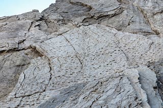 Fotógrafo encuentra 10.000 huellas de dinosaurios cerca de sede olímpica en Italia
