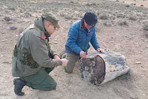 Hallan tres bosques petrificados de 50 millones de años