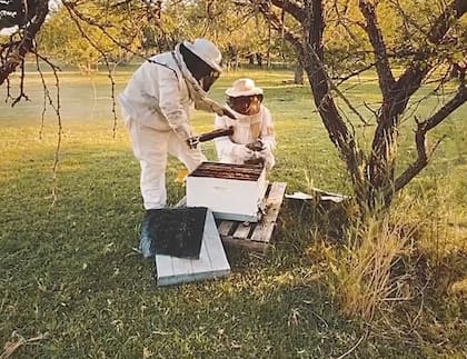 Hoy, sus apiarios están distribuidos entre Santiago del Estero, Tucumán, Santa Fe y Entre Ríos; produce alrededor de entre 10.000 y 15.000 kilos de miel por año y ofrece nueve variedades distintas