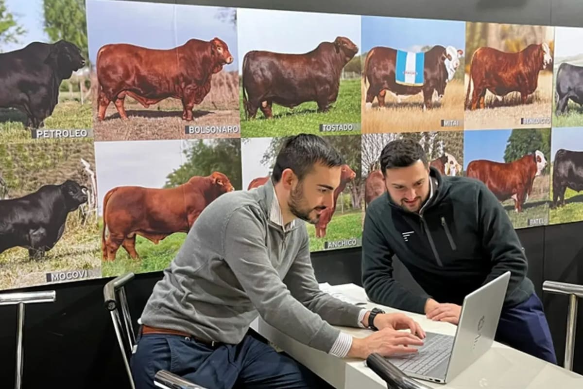 Jordán y Beldevere crearon su sartup en la pandemia, hoy llegó a Madrid y busca cambiar la forma de producir carne en la Argentina