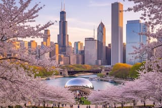 ¿Cuál es el apodo de Chicago?