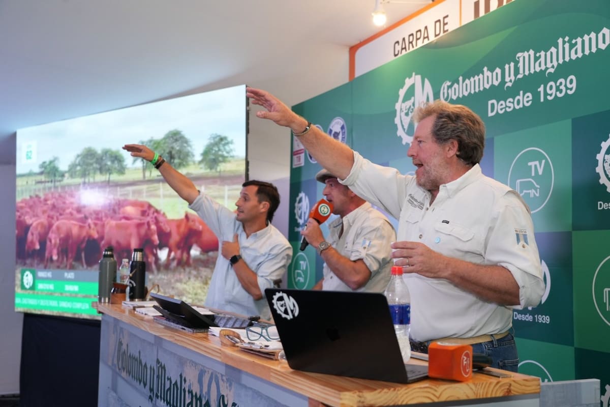 Juan Pedro Colombo, director de Colombo y Magliano