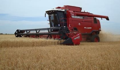 Después de ocho meses de parálisis, Vassalli volverá a poner en marcha su producción con el regreso de la actividad industrial en sus plantas de Firmat