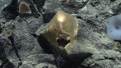 La esfera dorada fue localizada por la NOAA en 2023