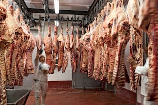 Llegan animales cada vez más pesados a faena y un indicador tocó un nivel récord