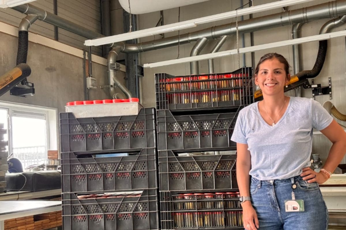 La ingeniera agrónoma Sofía Cano Alfañar estudió en la UNNE, pasó por Estados Unidos, Hungría y España, y hoy investiga en Holanda cómo transformar residuos vegetales en proteínas para consumo humano.