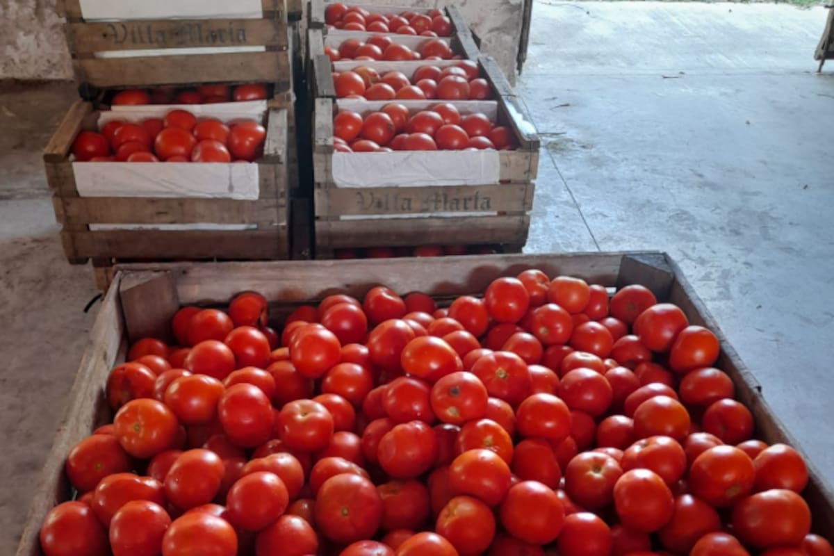 La recuperación de esos alimentos evitó la emisión de más de 1200 toneladas de dióxido de carbono equivalente (CO₂e), que se habrían generado por el desperdicio de alimentos