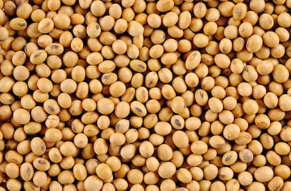 La industria aceitera advierte que la medida cerraría el único mercado de exportación del biodiésel argentino y comprometería el negocio futuro del combustible de aviación
