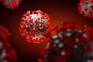 Qué se sabe de la nueva cepa del coronavirus que ya llegó a la Argentina