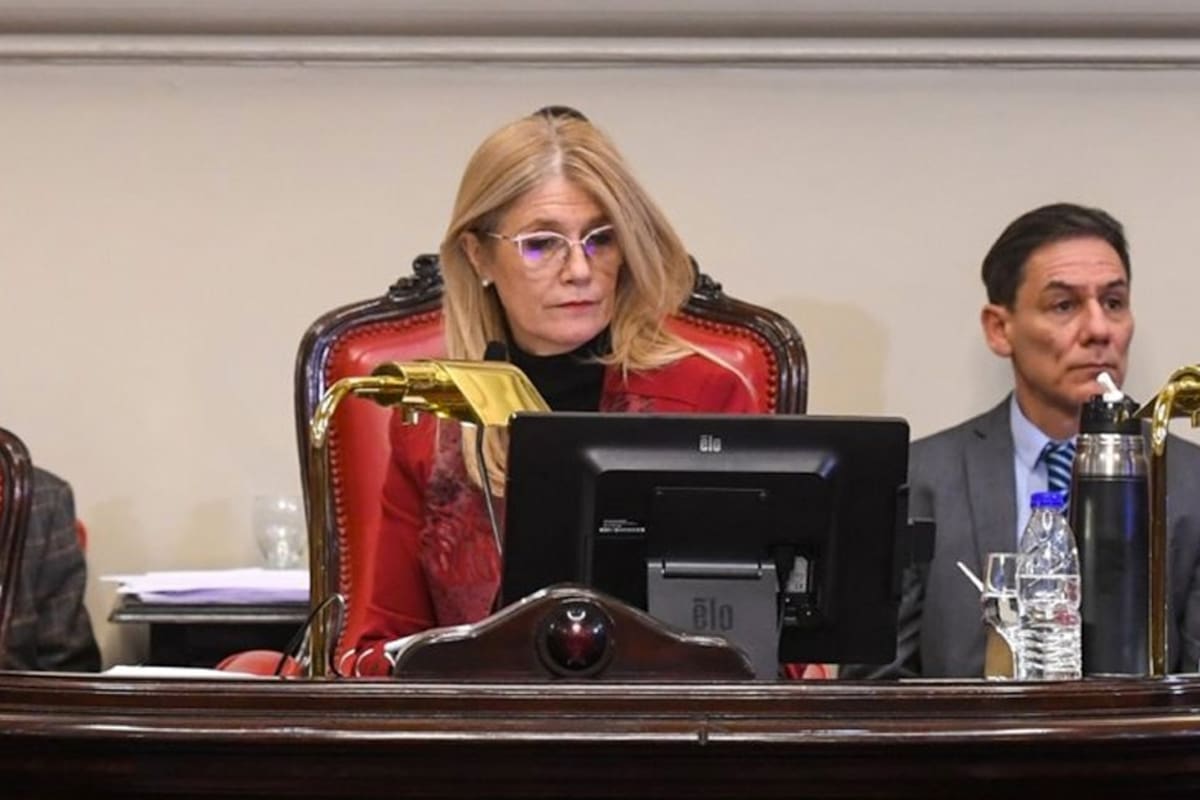 La vicegobernadora y titular del Senado bonaerense, Verónica Magario