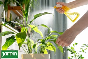 El daño que provoca la calefacción: cómo detectarlo y solucionarlo