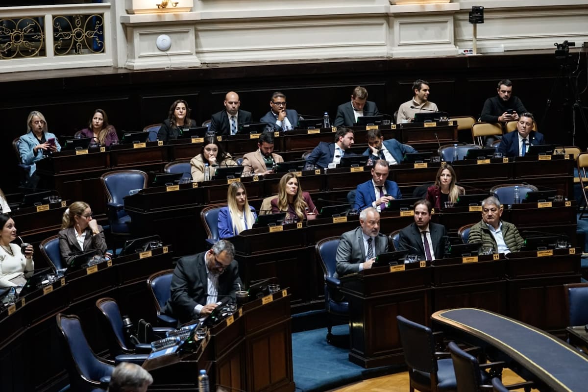 Legisladores de los bloques de La Libertad Avanza, Hechos y Fuerza Patria, entre otros, en la sesión de la Cámara de Diputados bonaerense