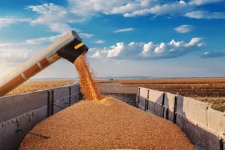 Cómo mantener la rentabilidad de un cultivo estrella en los últimos años