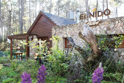La arquitectura se integra al paisaje, como un invitado