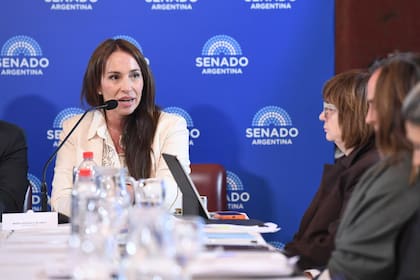 María Verónica Michelli al exponer en el Senado