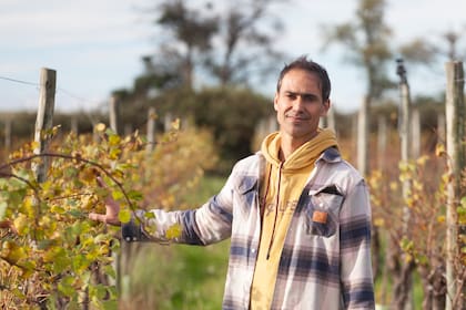 Martín Abenel está al frente de Sante Vins.