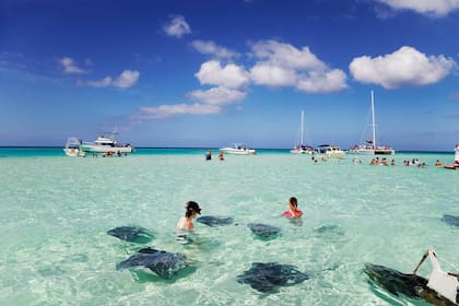 Nadar con mantarrayas, unas de las exclusivas propuestas de islas Caimán