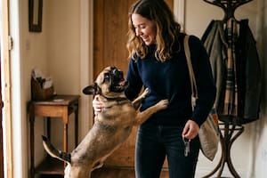 Por qué la euforia de tu perro al regresar a casa puede ser una señal de alerta