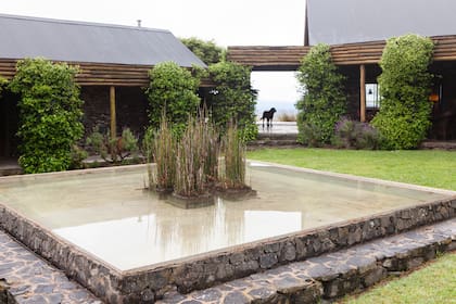 Por el lado opuesto a las sierras, la casa se abre en una galería coronada de jazmines que da a un jardín verdísimo
