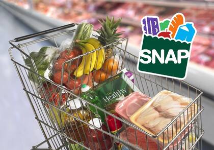 Quienes tienen SNAP deben demostrar cumplimiento de al menos 80 horas de trabajo