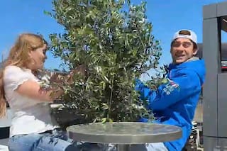 El momento en el que una planta se cayó encima de Colapinto en plena entrevista