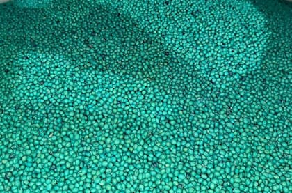 Según el sector semillero, una mayor protección de la propiedad intelectual favorece la incorporación de nuevas tecnologías y mejora la competitividad del agro argentino